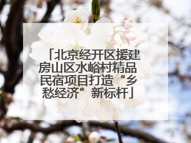 北京经开区援建房山区水峪村精品民宿项目打造“乡愁经济”新标杆